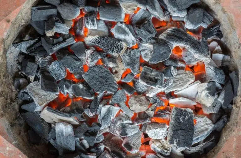 Top 15 Best Charcoal Brands 2020 DADONG