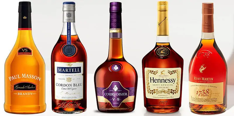 Best Cognac Brands 2021: Top Full Review, Guide - DADONG