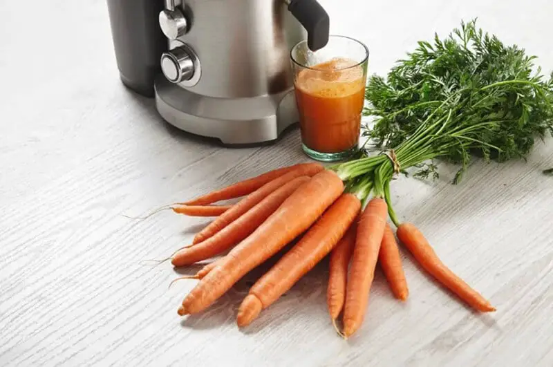 Best Carrot Juicer 2021 Top Brands Review DADONG