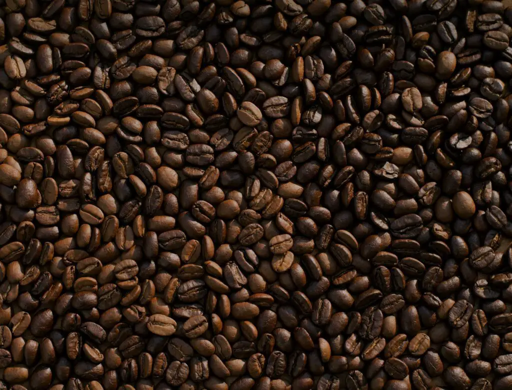 Different types of coffee beans from Ethiopia.